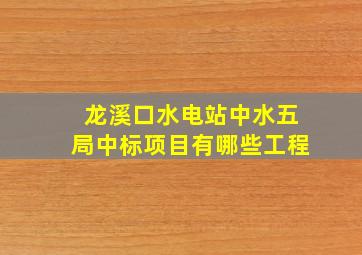 龙溪口水电站中水五局中标项目有哪些工程