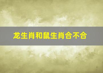 龙生肖和鼠生肖合不合