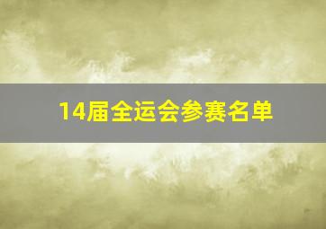 14届全运会参赛名单