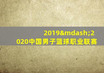 2019—2020中国男子篮球职业联赛