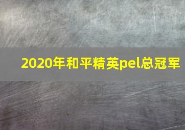 2020年和平精英pel总冠军