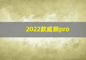 2022款威朗pro