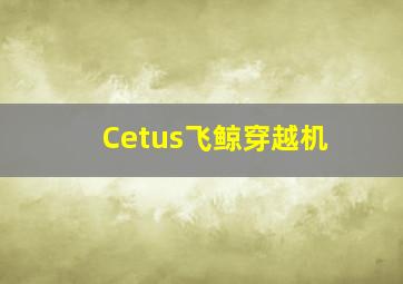 Cetus飞鲸穿越机