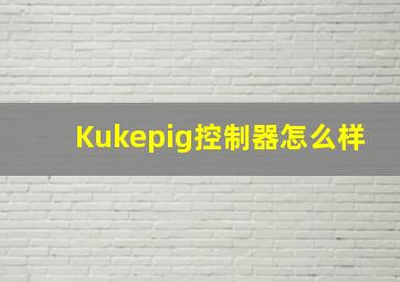 Kukepig控制器怎么样