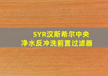 SYR汉斯希尔中央净水反冲洗前置过滤器