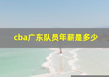 cba广东队员年薪是多少