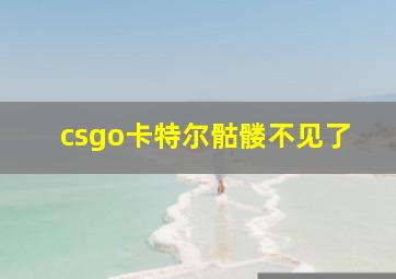 csgo卡特尔骷髅不见了