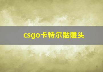 csgo卡特尔骷髅头