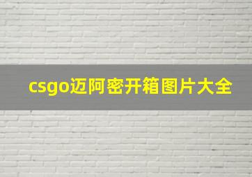 csgo迈阿密开箱图片大全