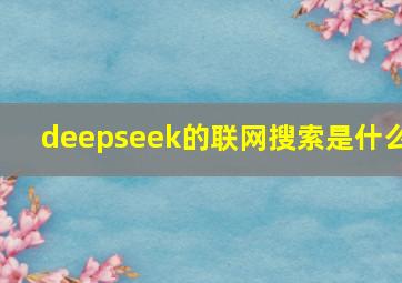 deepseek的联网搜索是什么