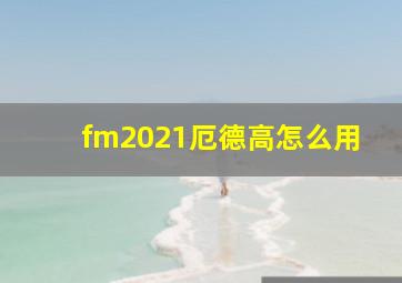 fm2021厄德高怎么用