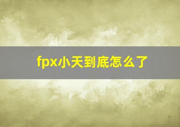 fpx小天到底怎么了