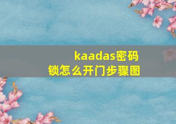 kaadas密码锁怎么开门步骤图