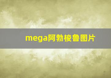 mega阿勃梭鲁图片