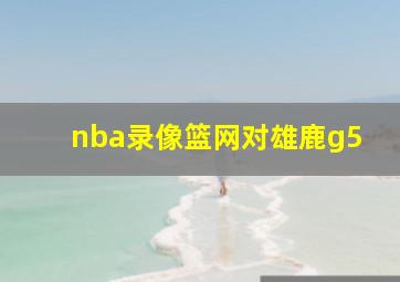 nba录像篮网对雄鹿g5