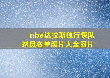 nba达拉斯独行侠队球员名单照片大全图片