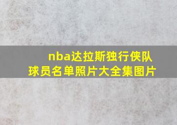 nba达拉斯独行侠队球员名单照片大全集图片