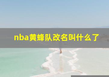 nba黄蜂队改名叫什么了