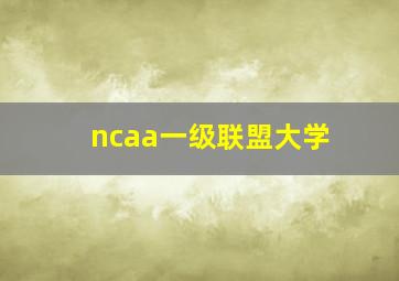 ncaa一级联盟大学