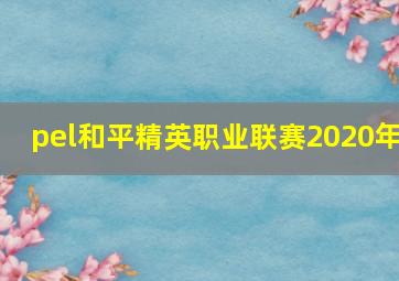 pel和平精英职业联赛2020年