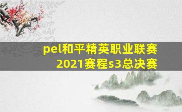 pel和平精英职业联赛2021赛程s3总决赛