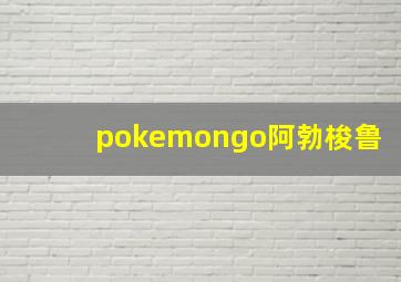 pokemongo阿勃梭鲁