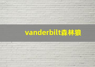 vanderbilt森林狼