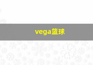 vega篮球