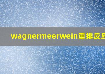 wagnermeerwein重排反应用途