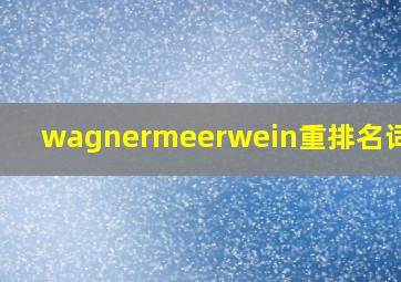 wagnermeerwein重排名词解释