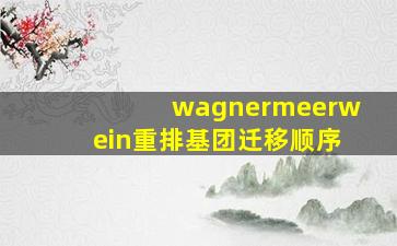 wagnermeerwein重排基团迁移顺序