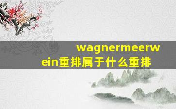 wagnermeerwein重排属于什么重排