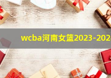 wcba河南女篮2023-2024