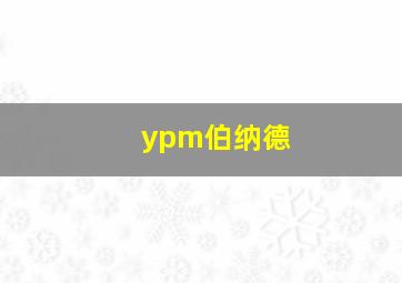 ypm伯纳德