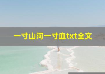 一寸山河一寸血txt全文