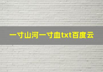 一寸山河一寸血txt百度云