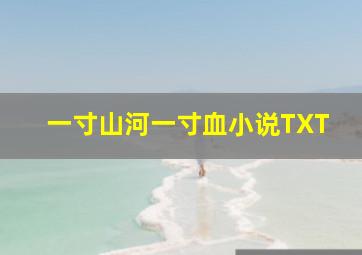 一寸山河一寸血小说TXT