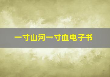 一寸山河一寸血电子书