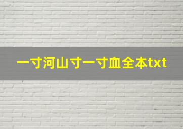 一寸河山寸一寸血全本txt