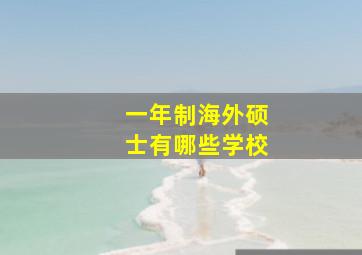 一年制海外硕士有哪些学校