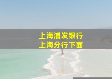 上海浦发银行上海分行下面