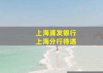 上海浦发银行上海分行待遇