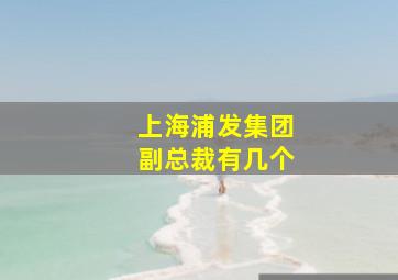 上海浦发集团副总裁有几个