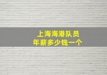 上海海港队员年薪多少钱一个