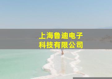 上海鲁迪电子科技有限公司