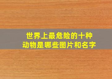 世界上最危险的十种动物是哪些图片和名字