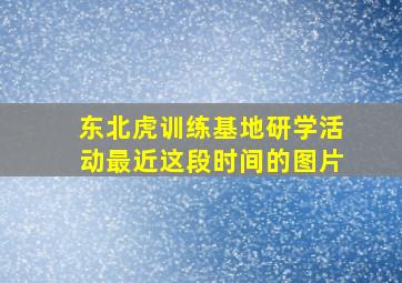 东北虎训练基地研学活动最近这段时间的图片