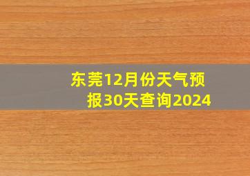 东莞12月份天气预报30天查询2024