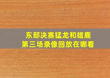 东部决赛猛龙和雄鹿第三场录像回放在哪看