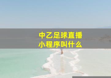 中乙足球直播小程序叫什么